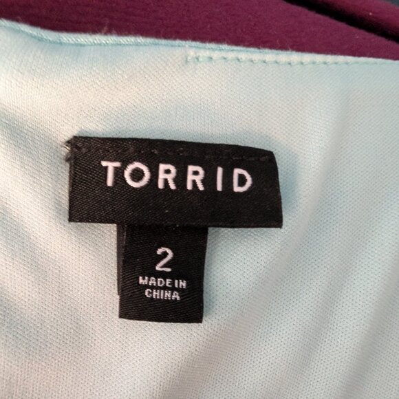Light blue long sleeve dress Torrid - Picture 4 of 4
